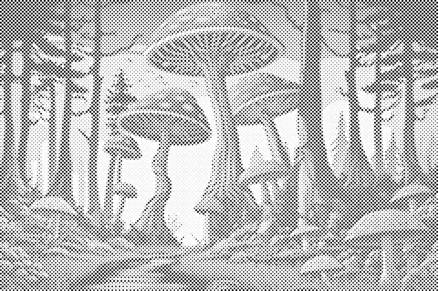 Krastače - Dottingo