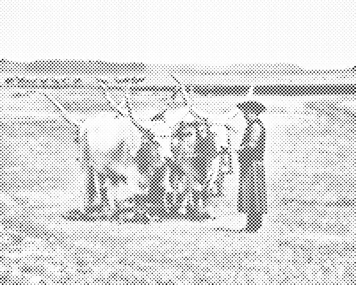 Nacionalni park Hortobagy, Mađarska - Dottingo