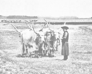 Nacionalni park Hortobagy, Mađarska - Dottingo