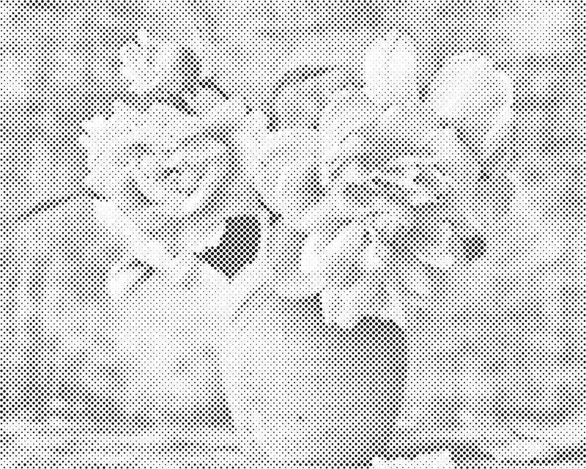 Vaza ruža - Dottingo