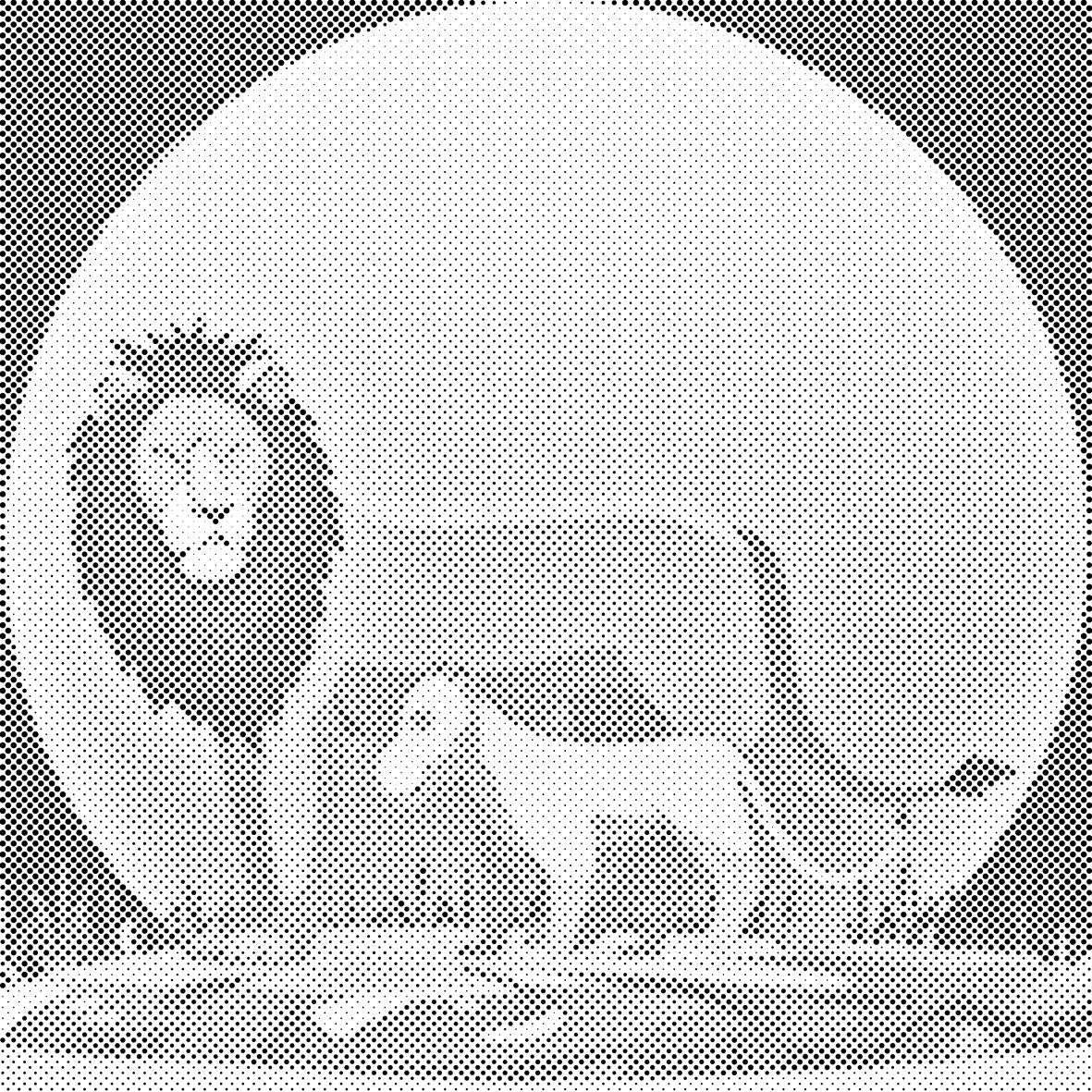 Lav s mladuncem - Dottingo