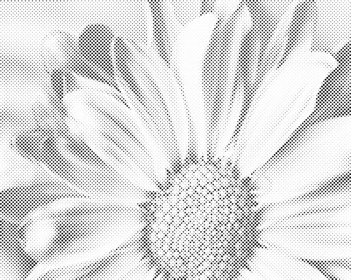 Nježni cvijet - Dottingo