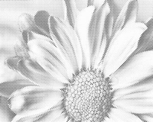 Nježni cvijet - Dottingo