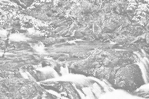 Vodopad Szepit na potoku Hylaty, Poljska - Dottingo