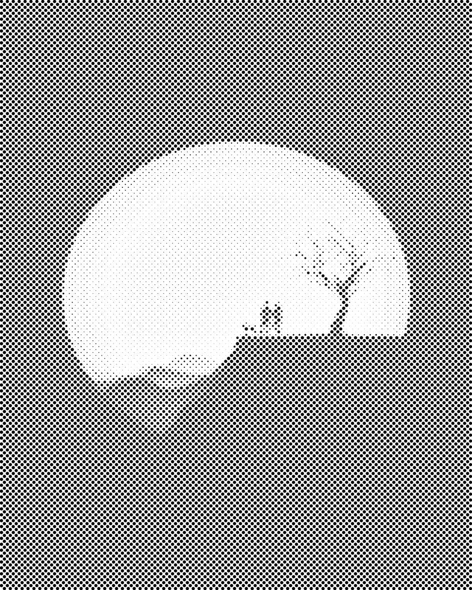 Par na litici - Dottingo