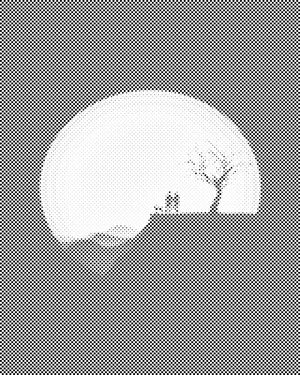 Par na litici - Dottingo