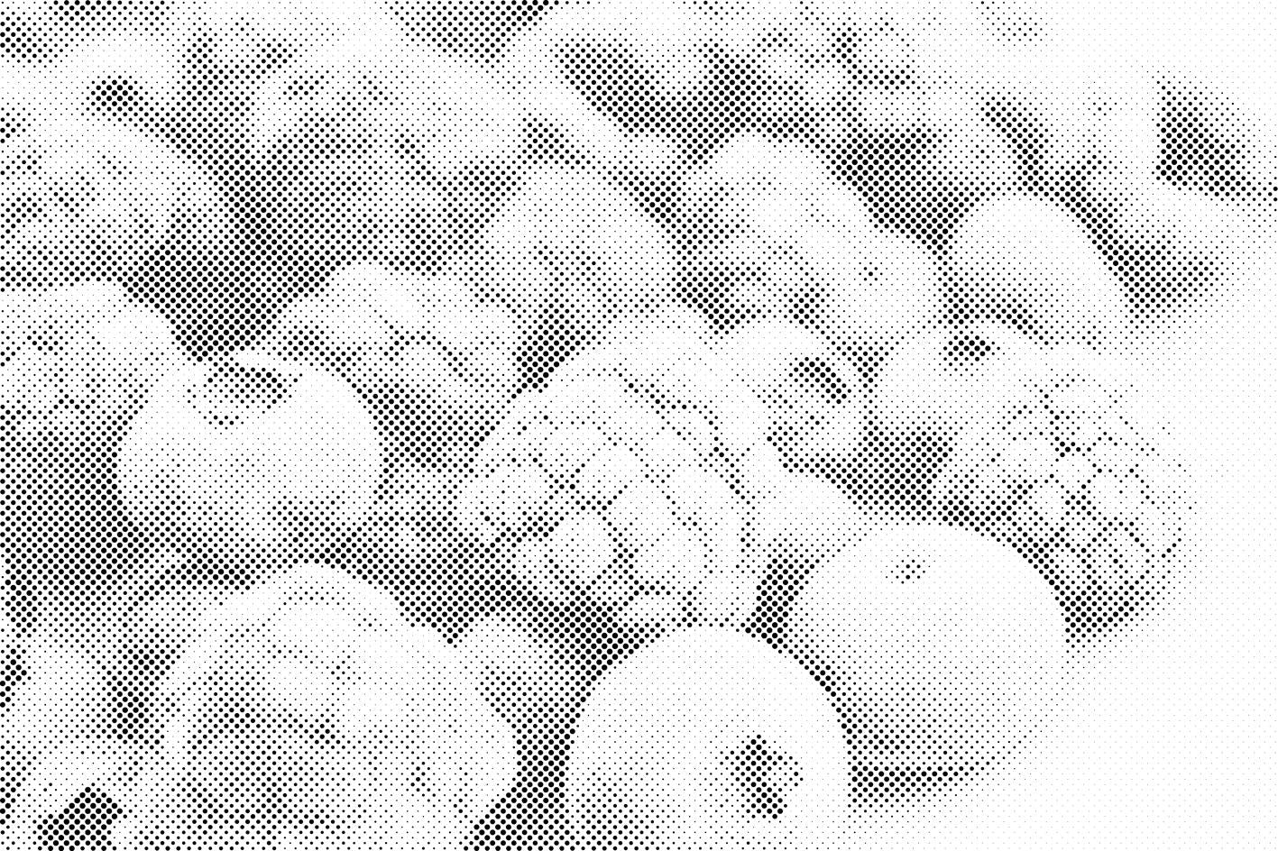 Smrznuto voće - Dottingo