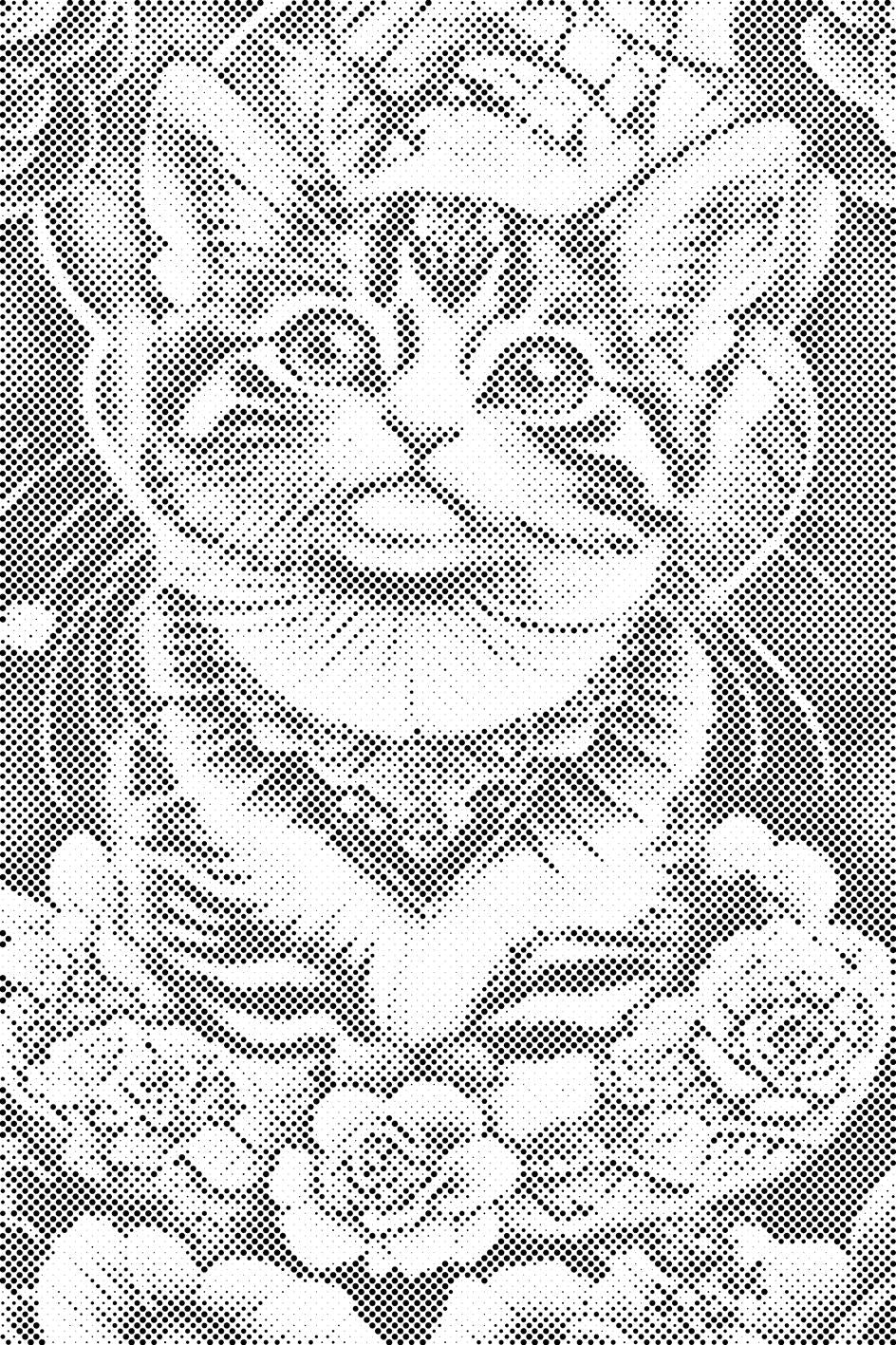 Mačić okružen cvijećem - Dottingo