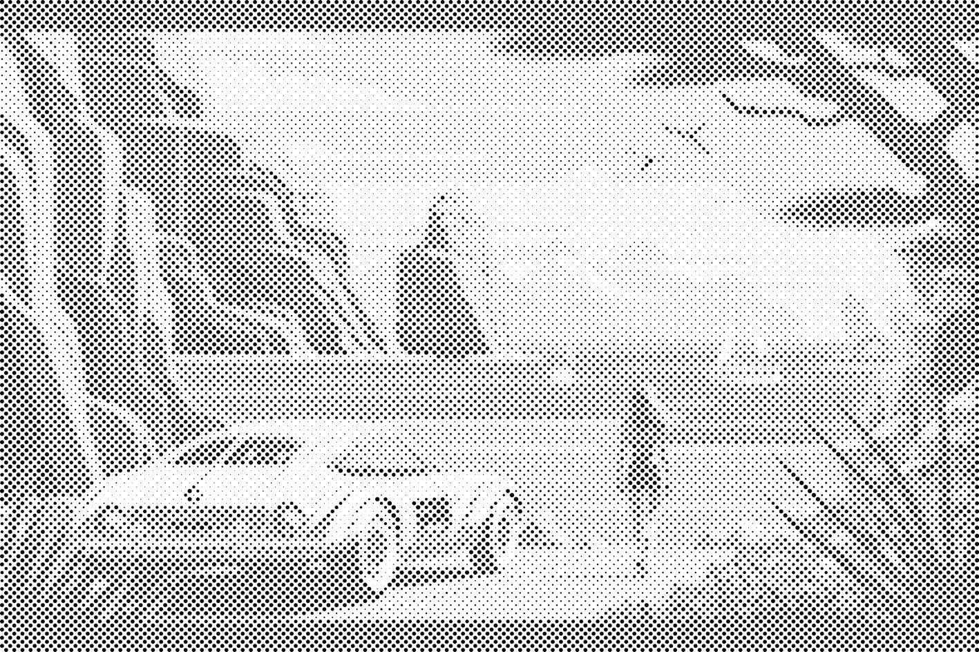 Brzina na plaži - Dottingo