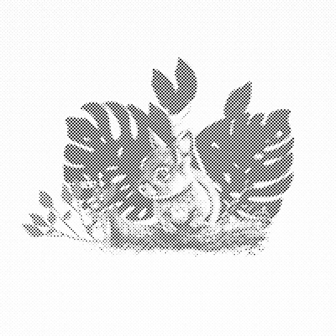 Zec i biljka monstera - Dottingo