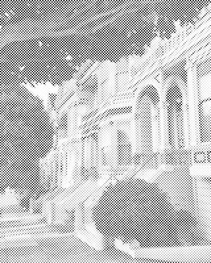 Naslikane dame San Francisco - Dottingo