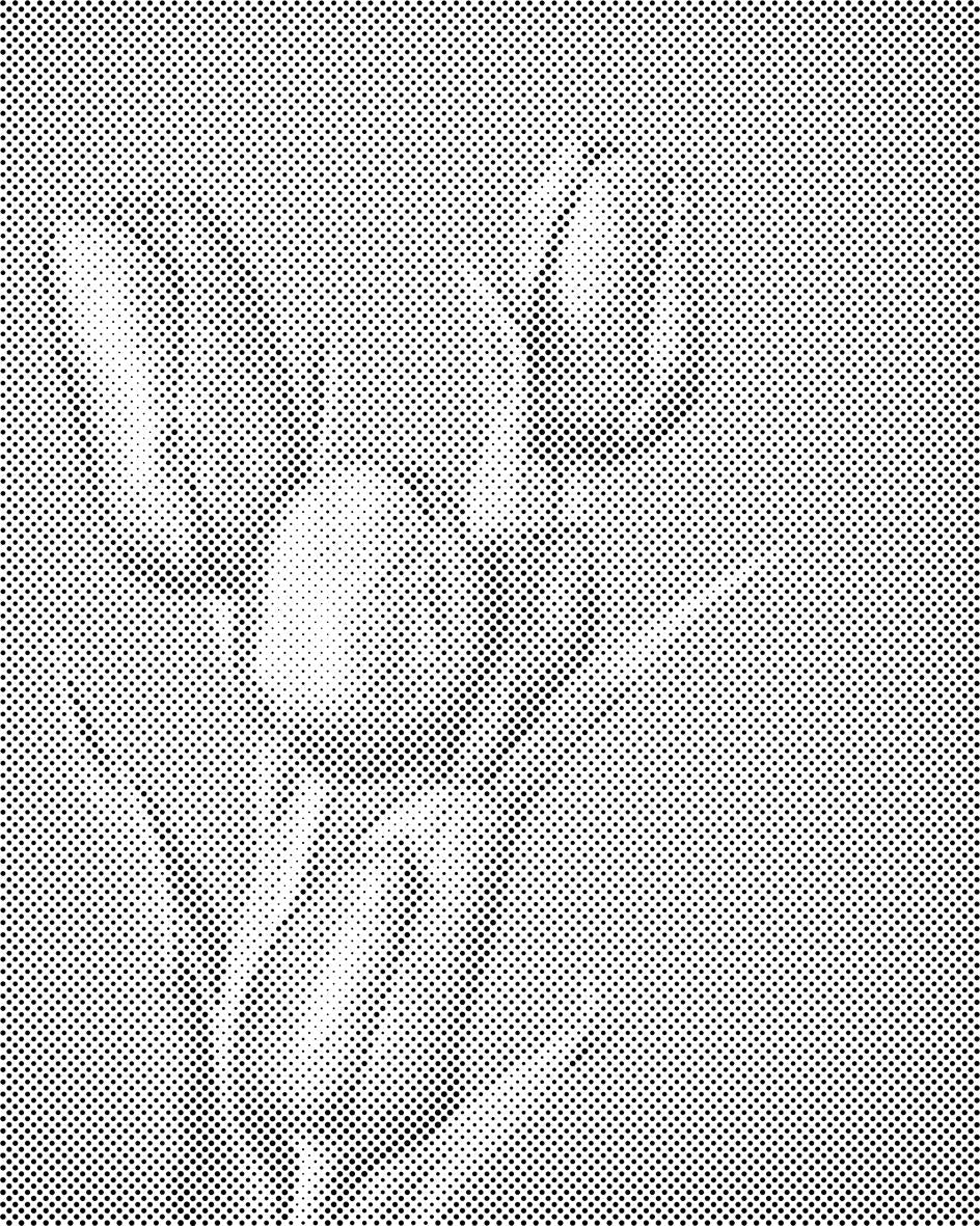 Ljubičasti tulipani - Dottingo