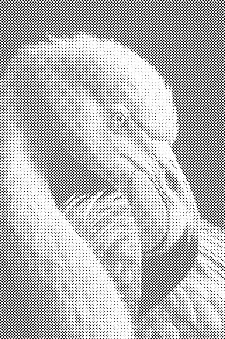 Dijamantno slikarstvo - Portret flaminga - Dottingo