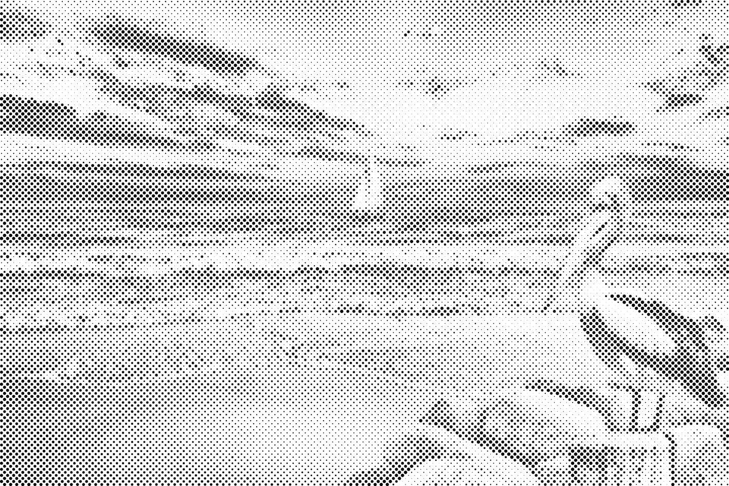 Pelikan i brod - Dottingo