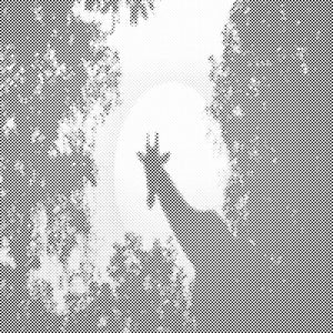 Žirafa na mjesečevoj svjetlosti - Dottingo