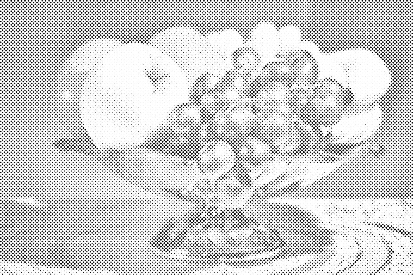 Zdjela puna voća - Dottingo