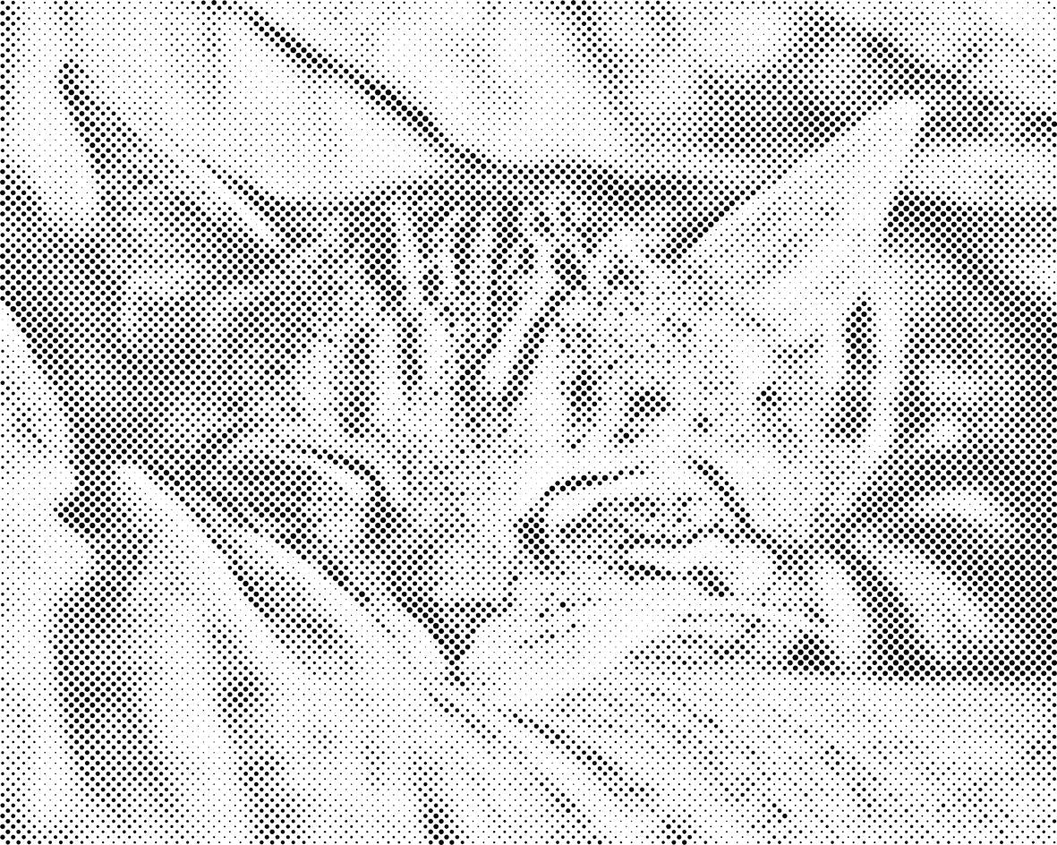 Uspavana maca - Dottingo