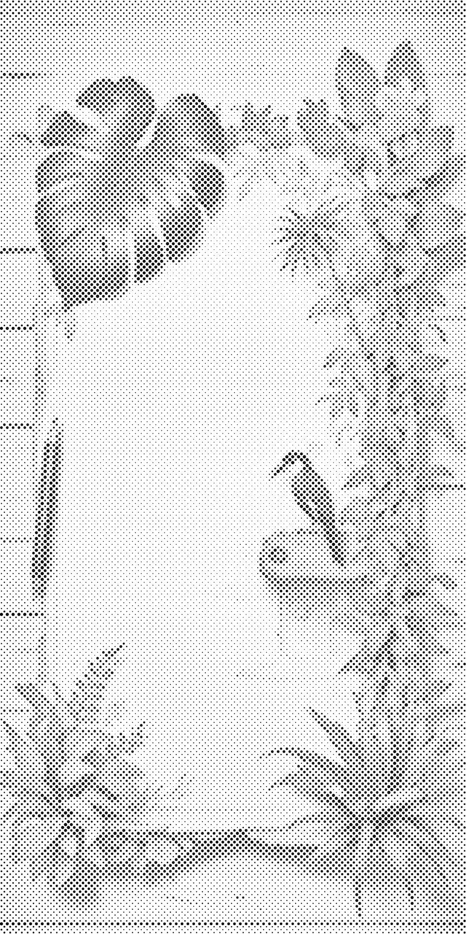 Pergament okružen biljkama - Dottingo