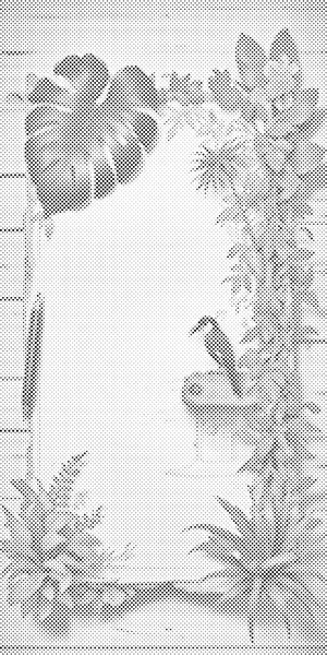 Pergament okružen biljkama - Dottingo