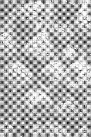 Sočne maline - Dottingo