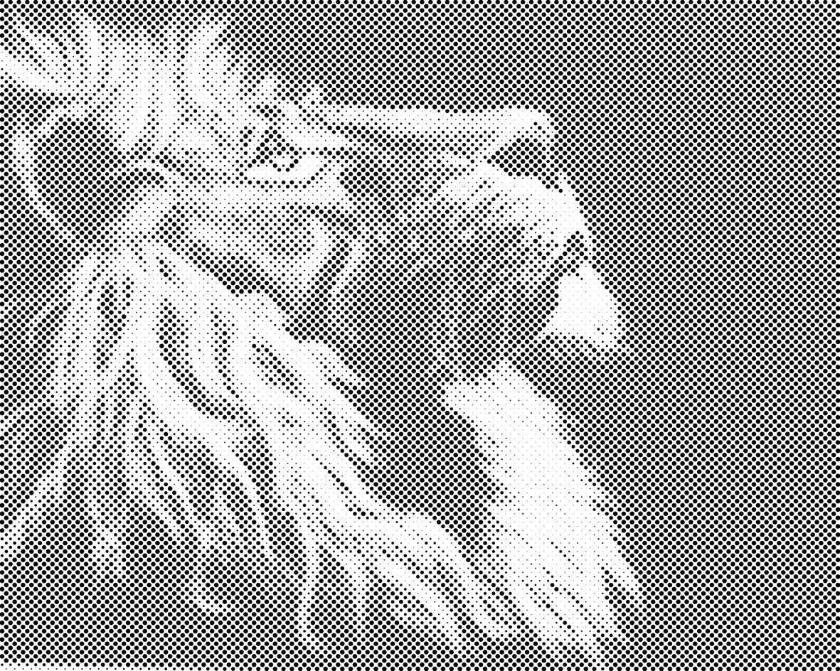 Ponosni lav - Dottingo