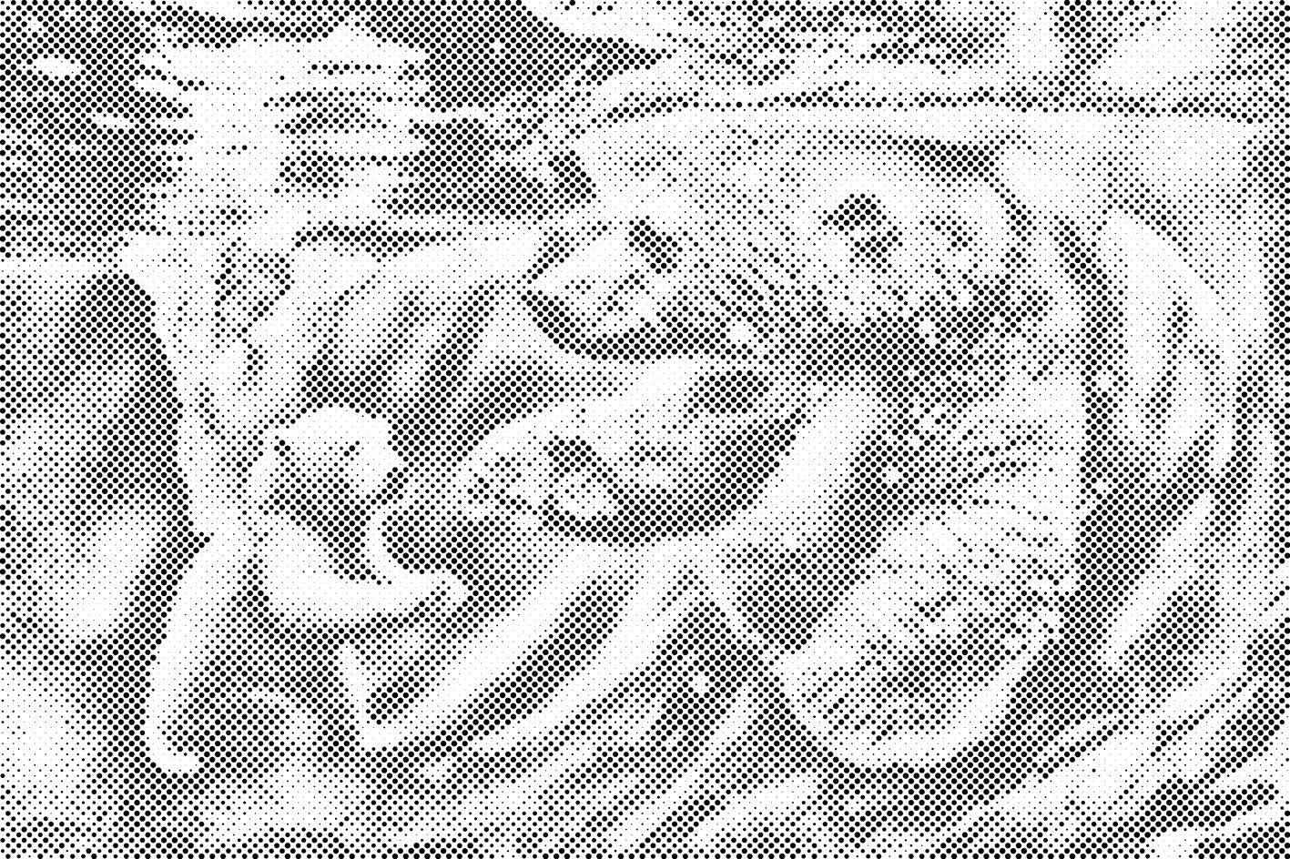 Plivanje polarnog medvjeda - Dottingo