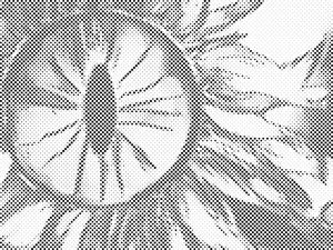 Apstraktni cvijet - Dottingo