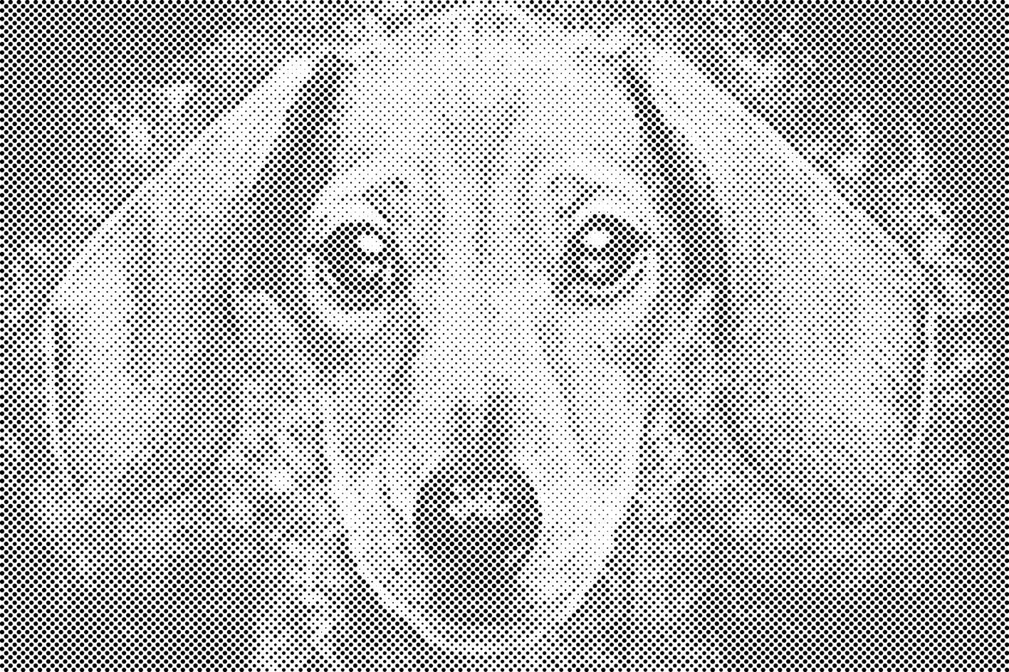 Glava jazavičara - Dottingo