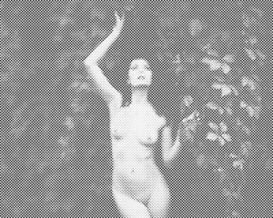 Slon u carstvu leptira - Dottingo