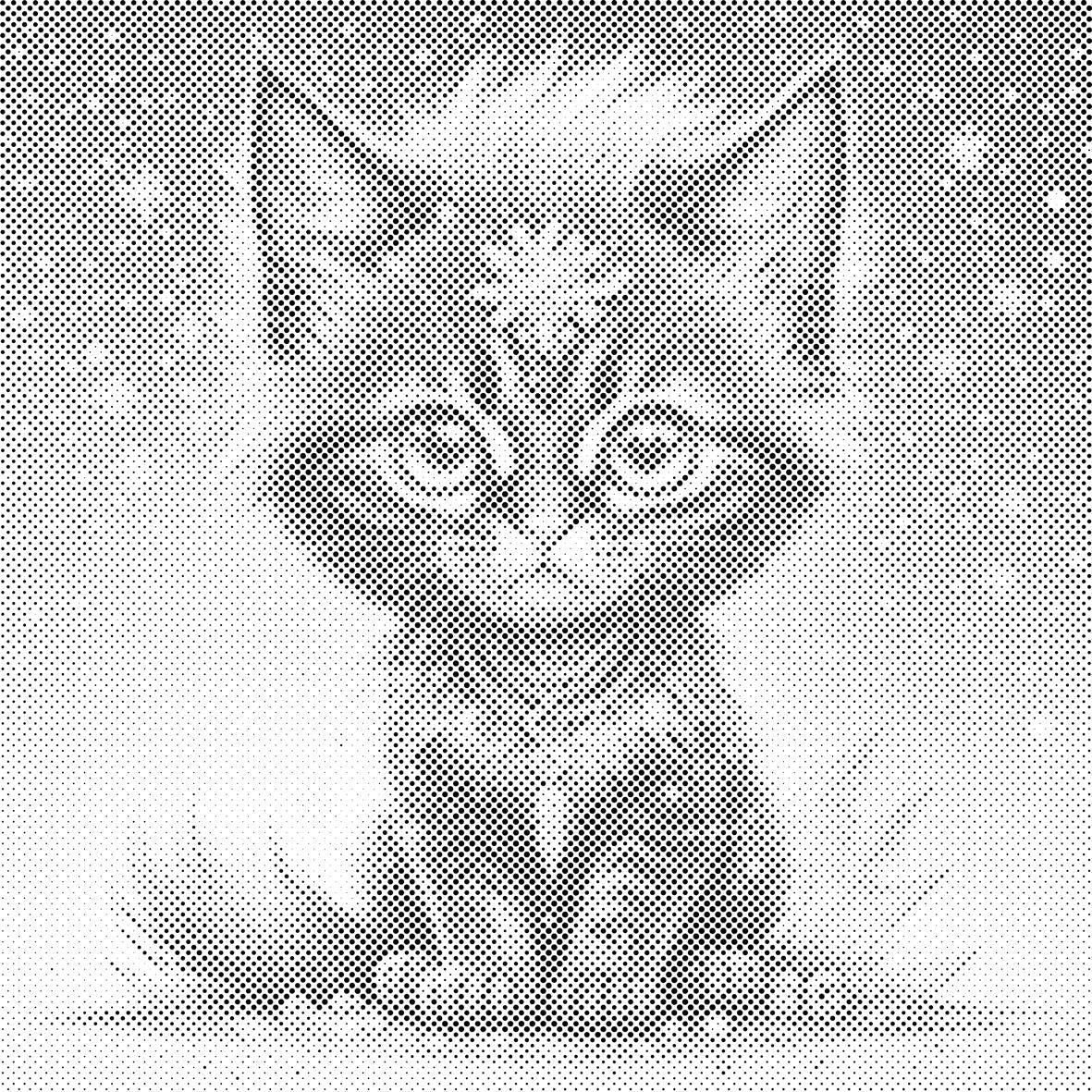 Crni mačić i duga - Dottingo