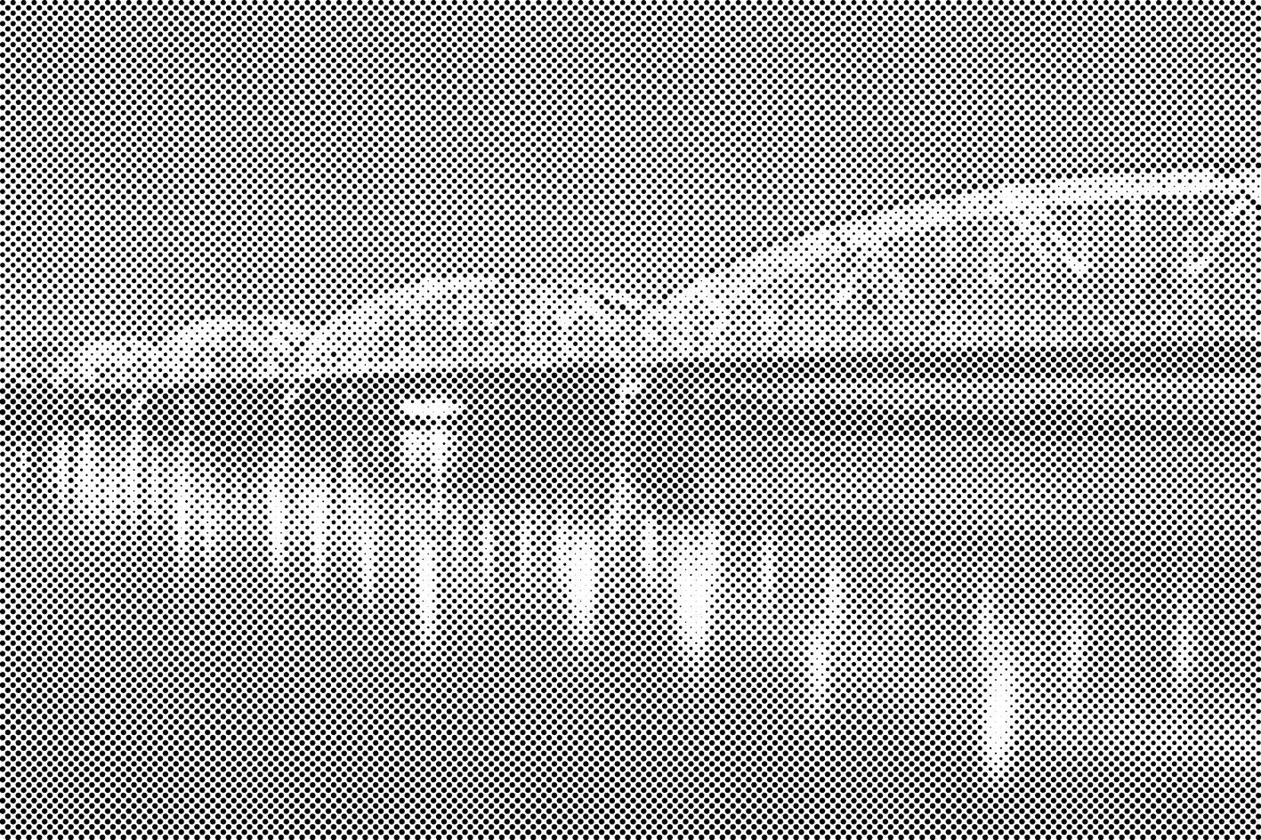 Most u Torunu, Poljska - Dottingo