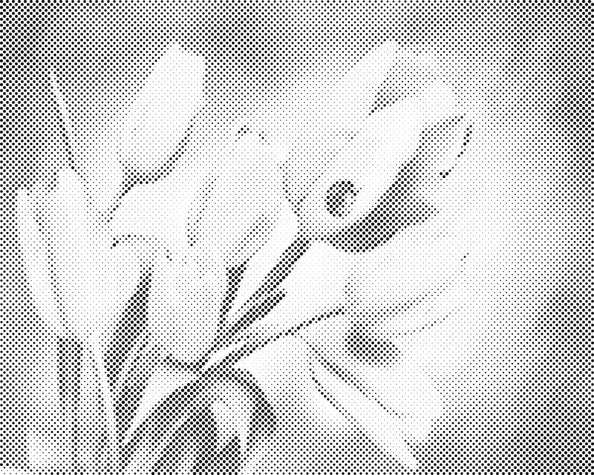 Tulipani i bubamara - Dottingo