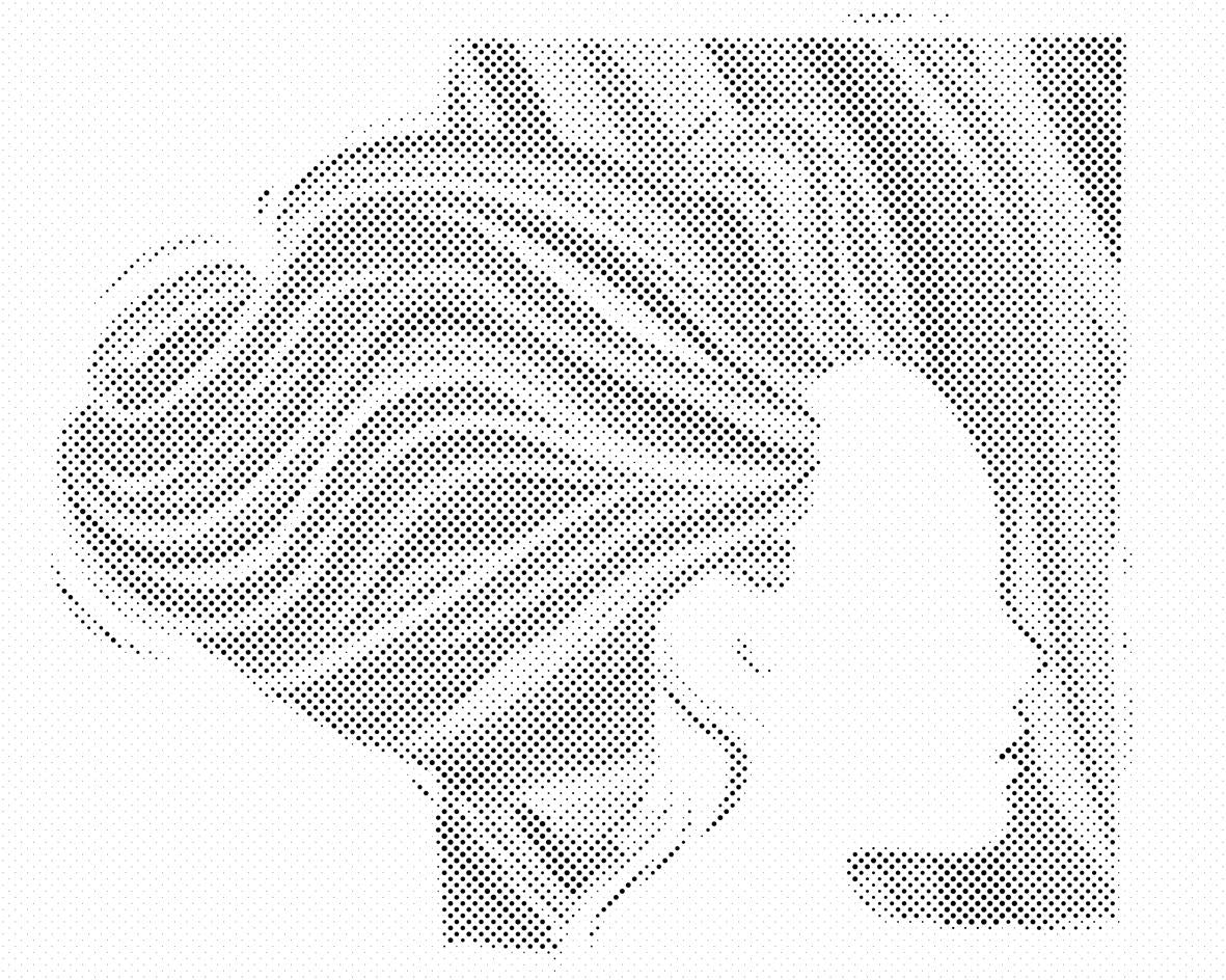 Žena sa šarenom kosom - Dottingo