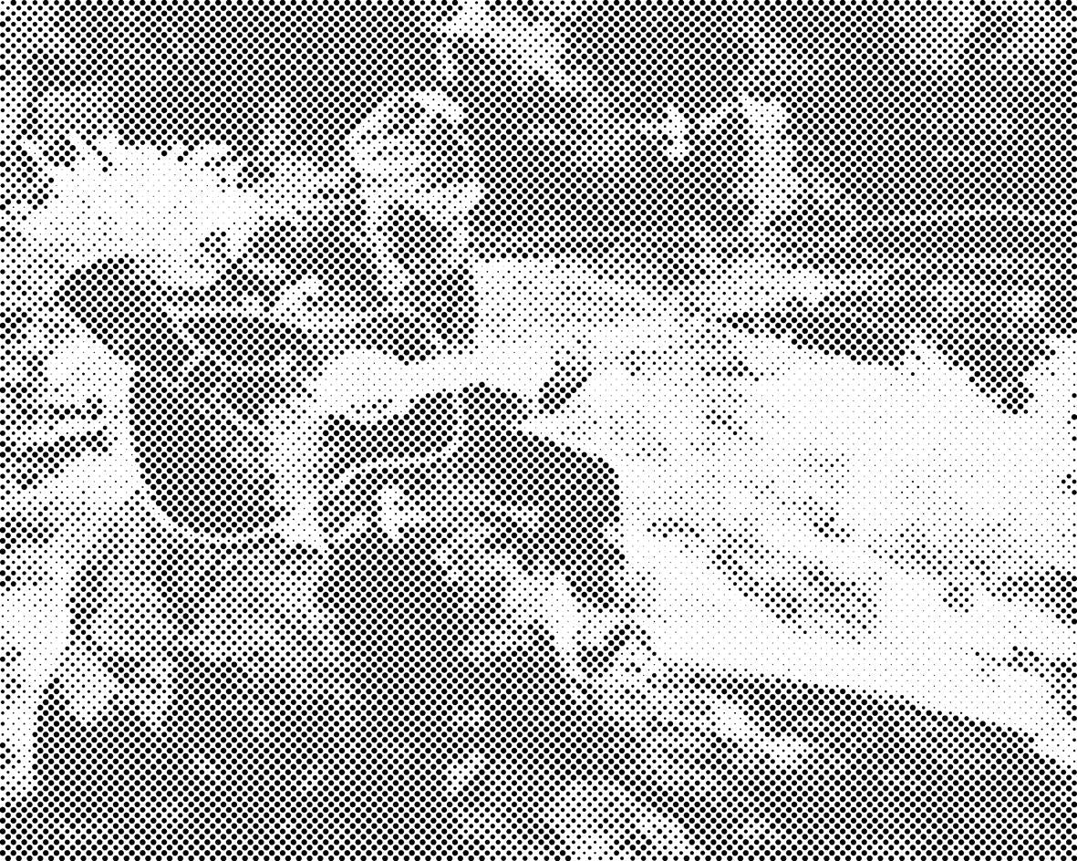 Gitarist u vrtu - Dottingo