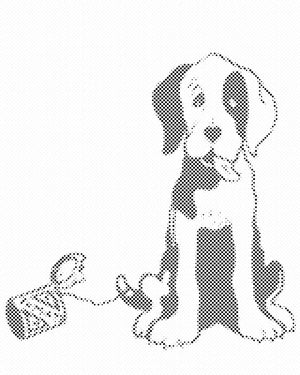 Crnobijeli pas - Dottingo