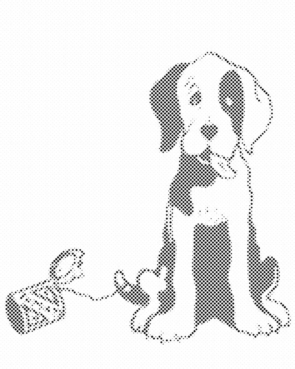 Crnobijeli pas - Dottingo