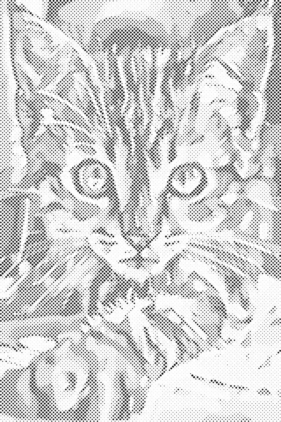 Radoznali mačić - Dottingo