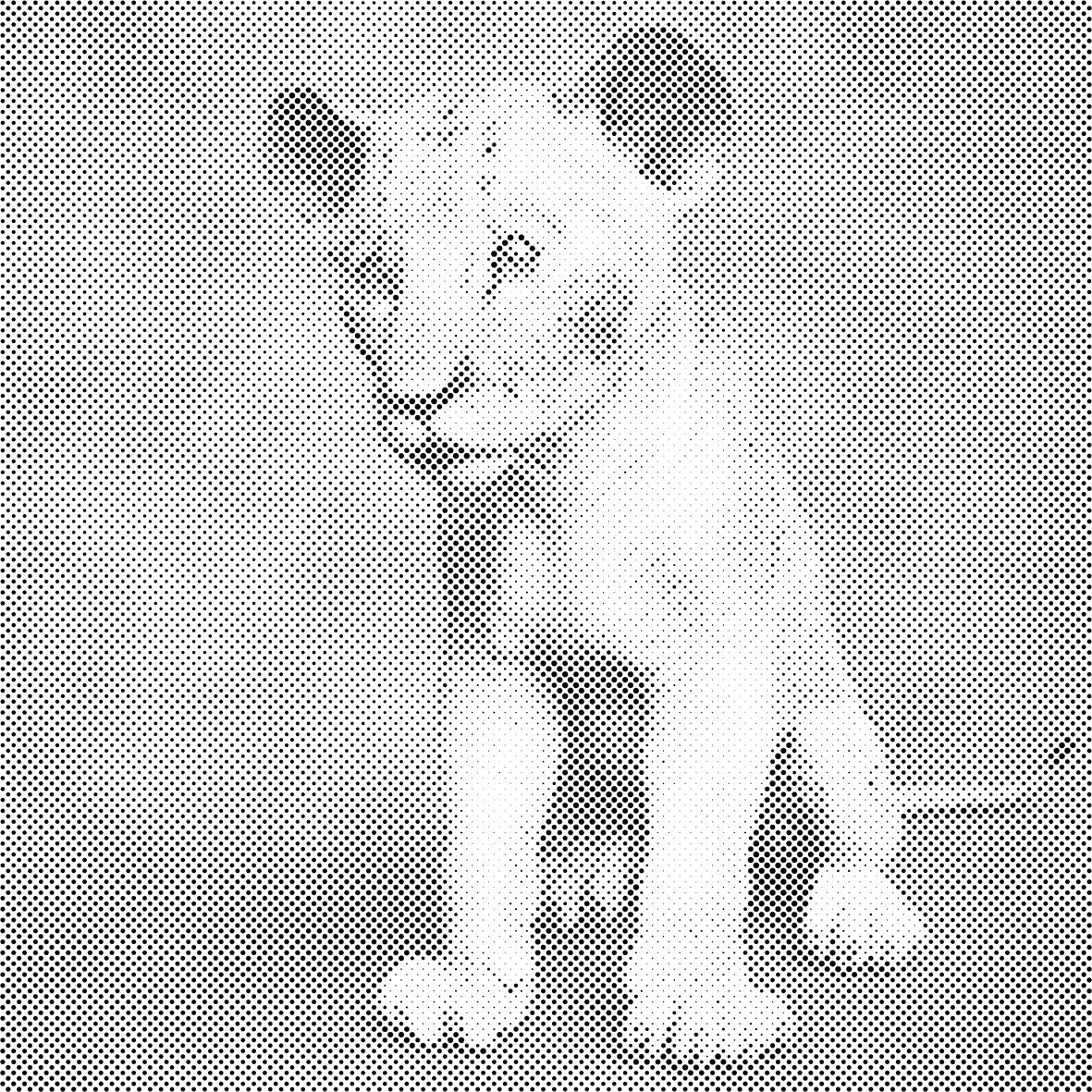Mali Simba - Dottingo