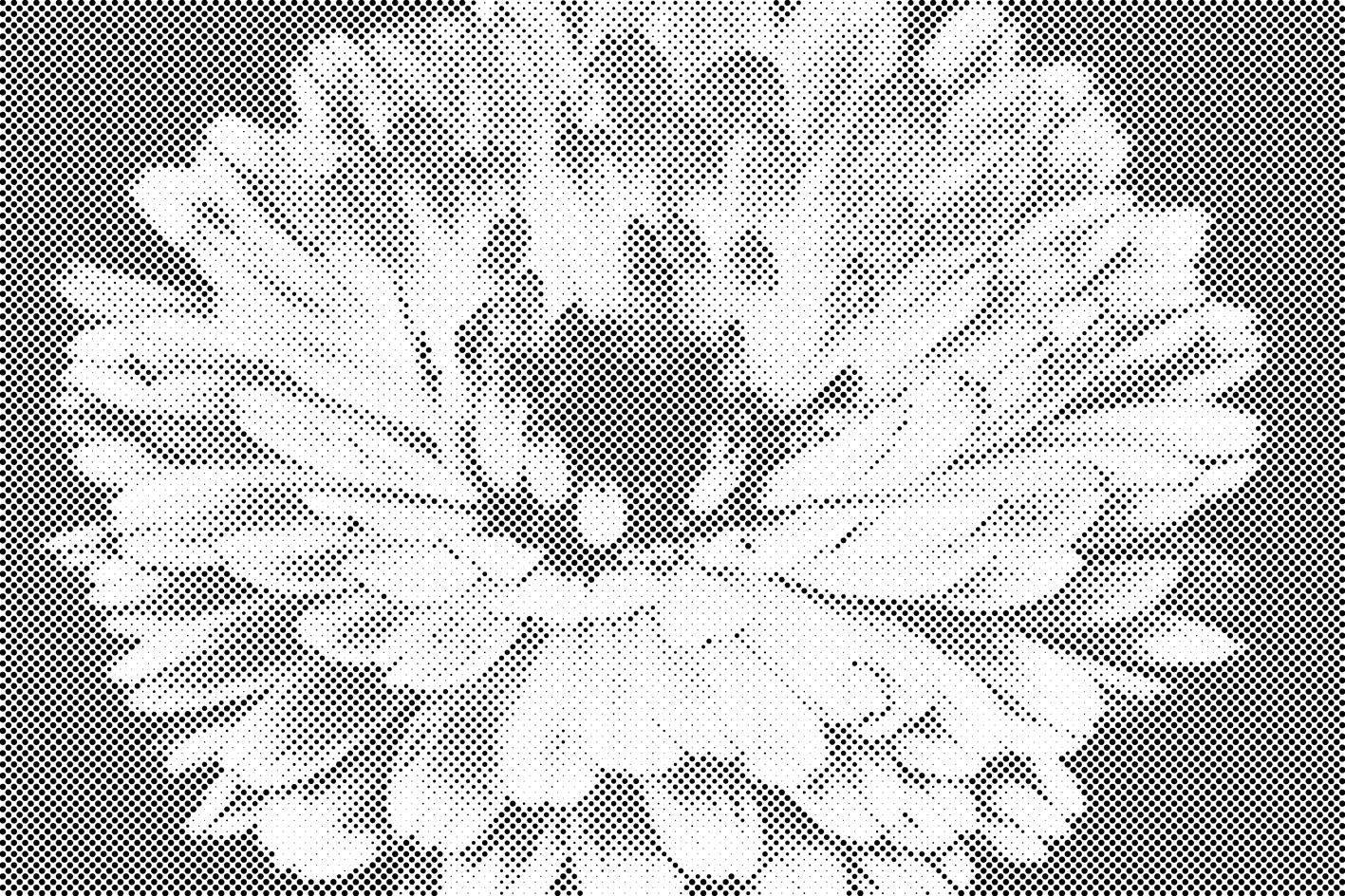 Proljetni cvijet - Dottingo