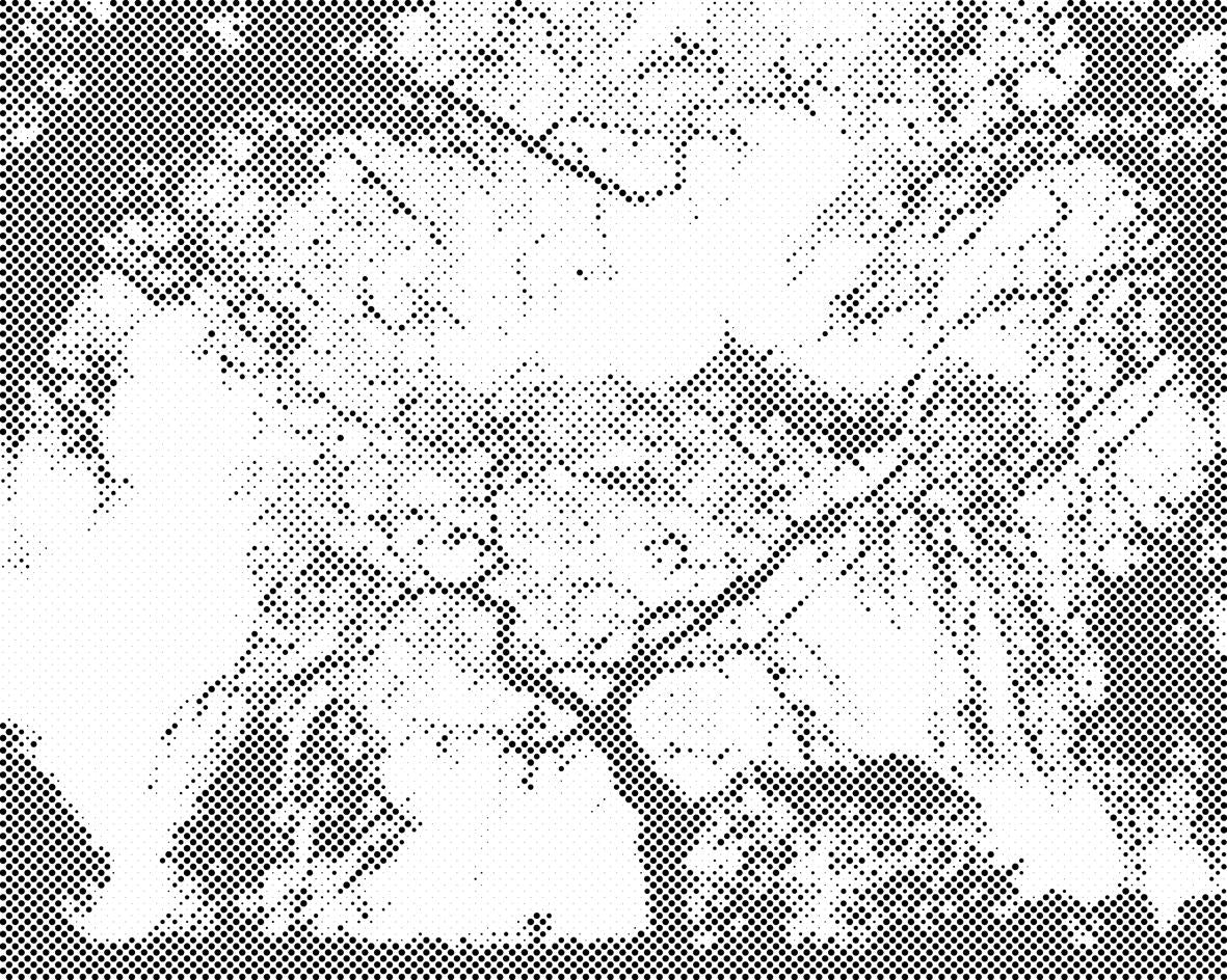 Silueta drveća - Dottingo