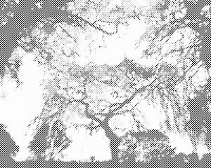 Silueta drveća - Dottingo