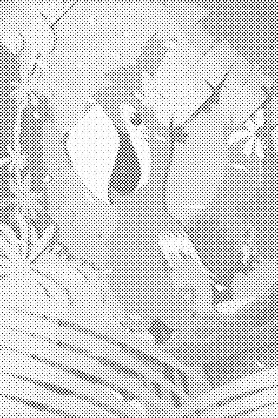 Sretna papiga - Dottingo