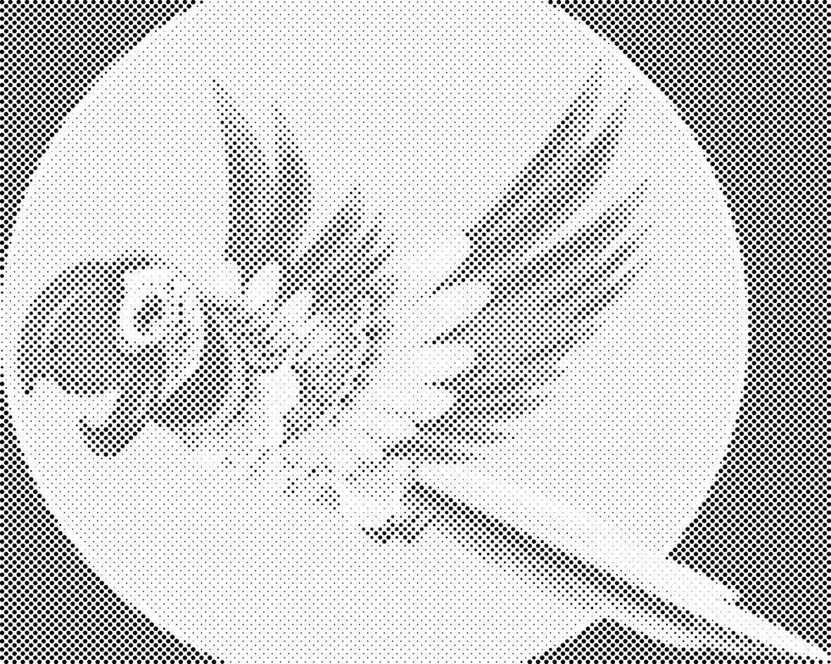 Veseli papagaj - Dottingo