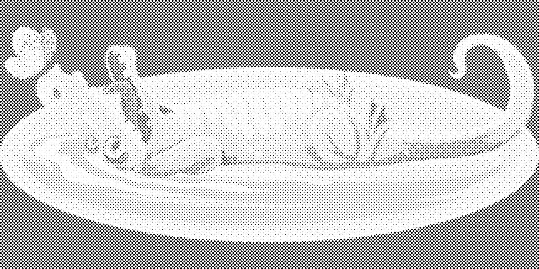 Krokodil s leptirom - Dottingo