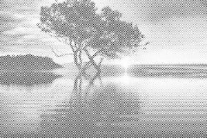 Zalazak sunca uz jezero - Dottingo