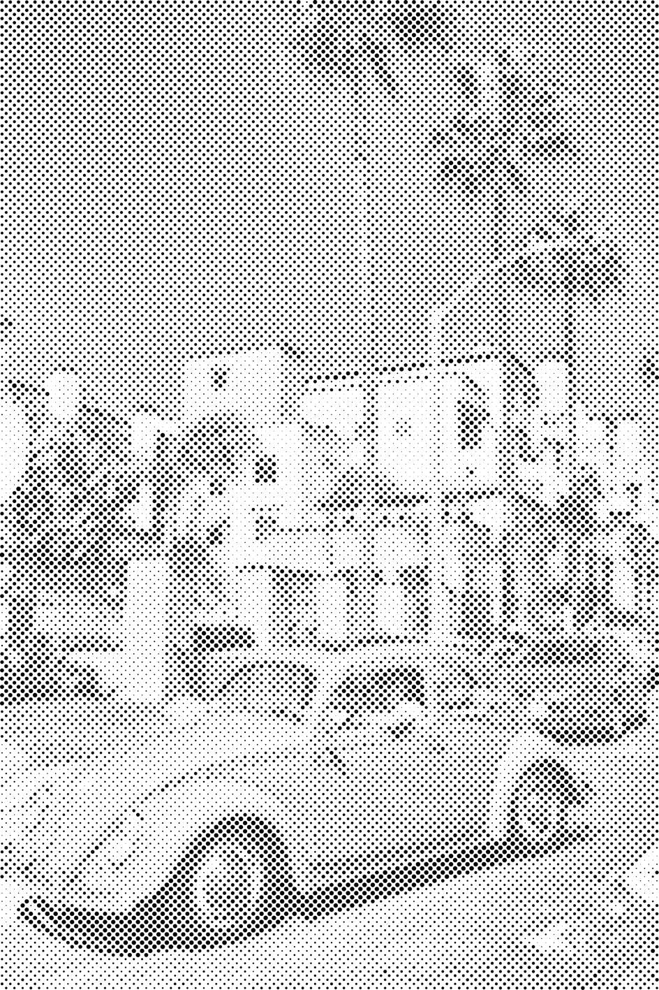 Malibu Beetle - Dottingo