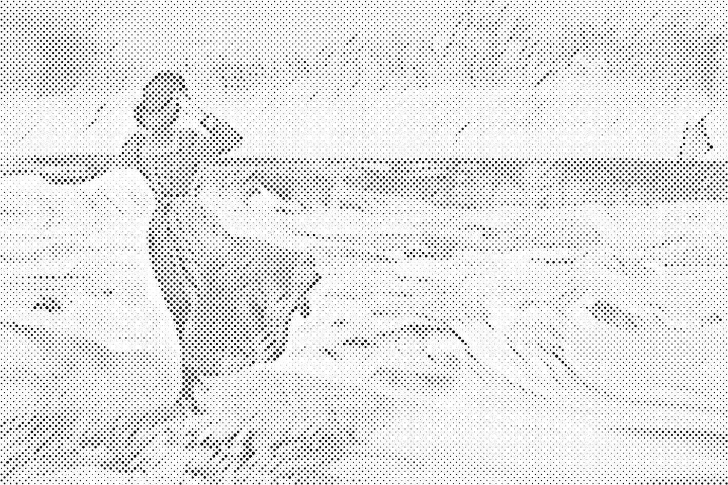 Dama na plaži - Dottingo