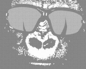 Gorila s naočalama - Dottingo