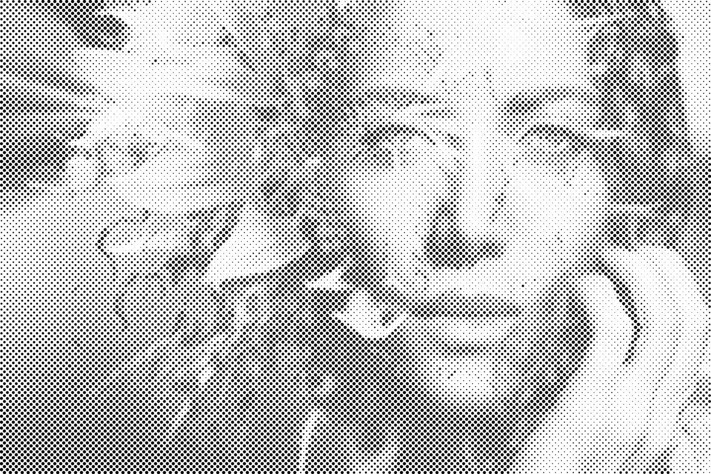 Žena skrivena u suncokretu - Dottingo