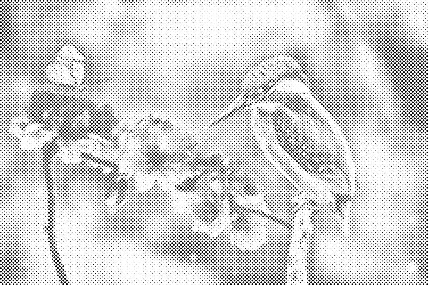 Leptir i vodomar - Dottingo